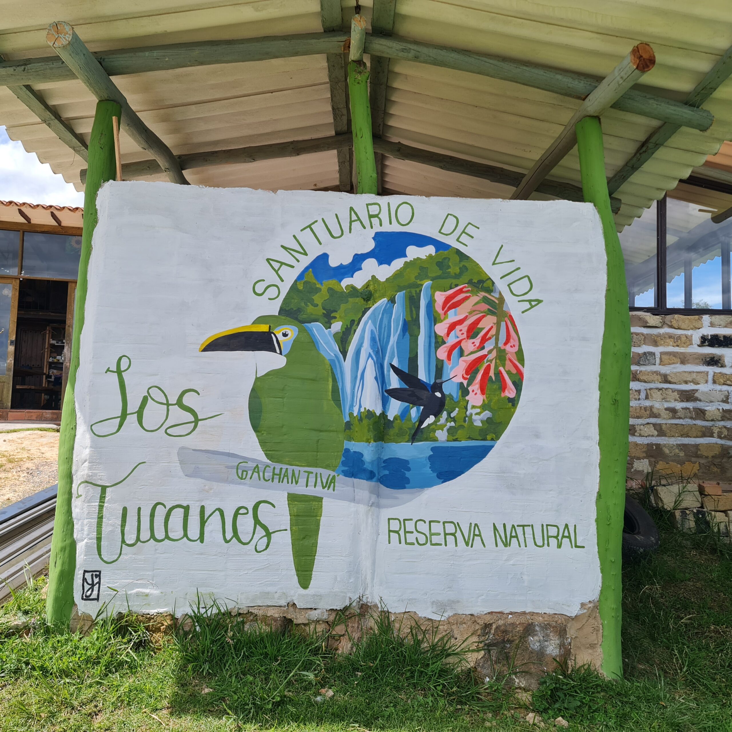 Avistamiento de Aves