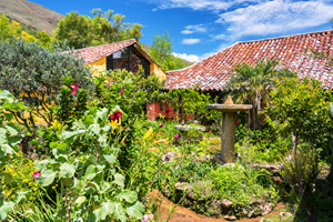 Casas Rurales en Villa de Leyva